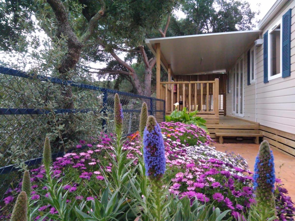 Camping Roca Grossa Calella Exterior foto