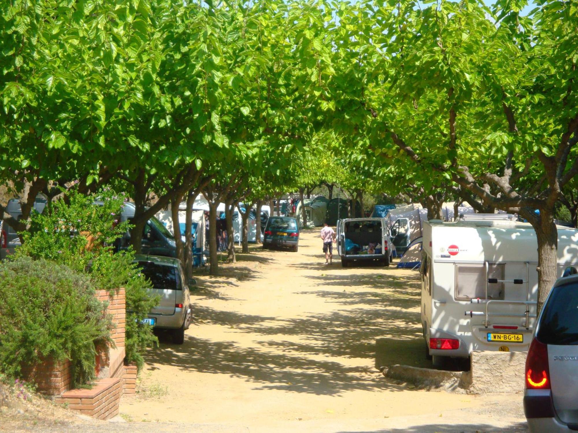 Camping Roca Grossa Calella Exterior foto
