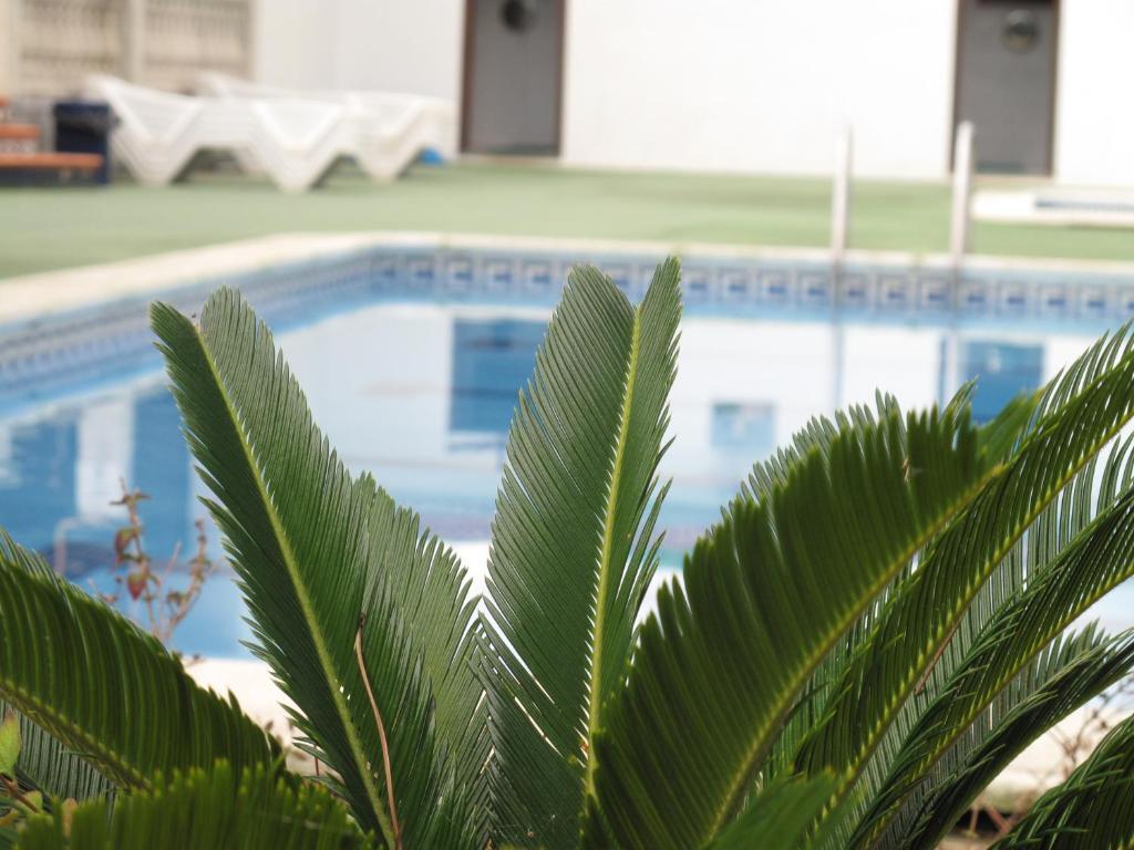 Camping Roca Grossa Calella Exterior foto